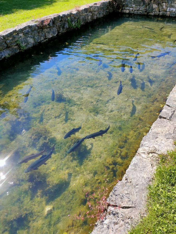Les Pieds Dans L'Eau, Gite La Source Lachapelle-Auzac Экстерьер фото